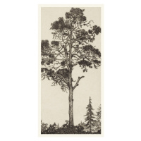 Plakát, Obraz - The Little Pitch Pine, Ernest Haskel, 20 × 40 cm