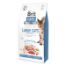Brit Care Cat Grain-Free Large cats Power & Vitality 7kg