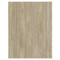 Oneflor Vinylová podlaha lepená ECO 30 066 Prestige Oak Natural  - dub - Lepená podlaha