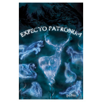 Plakát, Obraz - Harry Potter - Patronus, 61x91.5 cm