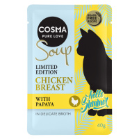 Cosma Soup letní edice - kuřecí prsa s papájou 24 x 40 g