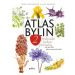 Atlas bylin 2 Edika