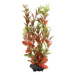 Rostlina TETRA Red Ludwigia M 1 ks