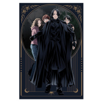 Umělecký tisk Harry Potter - Snape the Protector, 26.7 × 40 cm