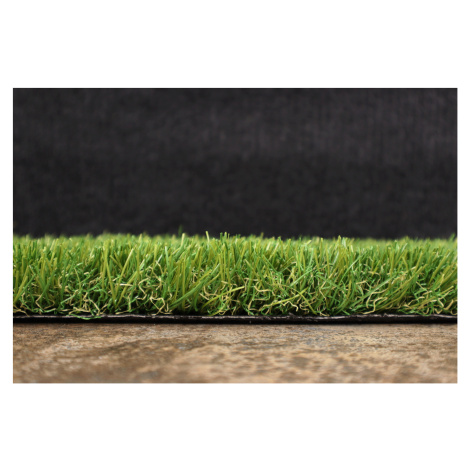 Artificial grass specialists AKCE: 86x240 cm Umělá tráva Rosalia metrážní - Rozměr na míru cm