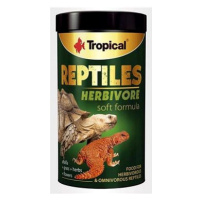 Tropical Reptiles Herbivore 250 ml 65 g