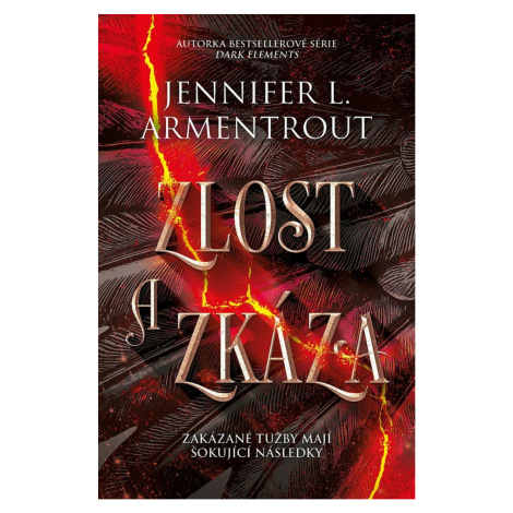 Zlost a zkáza - Jennifer L. Armentrout King Cool