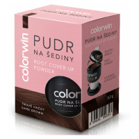 COLORWIN Pudr na šediny tmavě hnědý 3,2 g