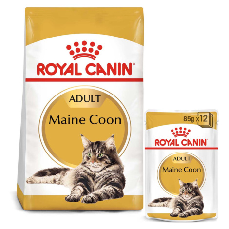 ROYAL CANIN ADULT Maine Coon 2 kg + kapsičky v omáčce 12× 85 g