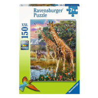 Ravensburger Puzzle - Džungle 150 dílků