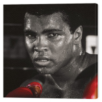 Obraz na plátně Muhammad Ali - Boxing Gloves, 4 - 60×60 cm