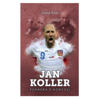 Jan Koller: pohádka o Honzovi - David Šváb - e-kniha