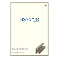 DANTIK rámeček 50 × 70, ALU profil 6220 champagne plexi čiré