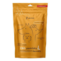 Pochoutka CBD Recovery L  100g