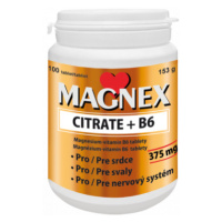 Magnex citrate 375mg+B6 tbl.100