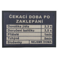 GDmats koberce Rohožka Čekací doba 40x60 cm - 40x60 cm