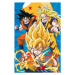 Plakát Dragon Ball - Z3 Gokus Evo