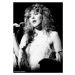 Plakát, Obraz - Stevie Nicks - live, 59.4x84 cm
