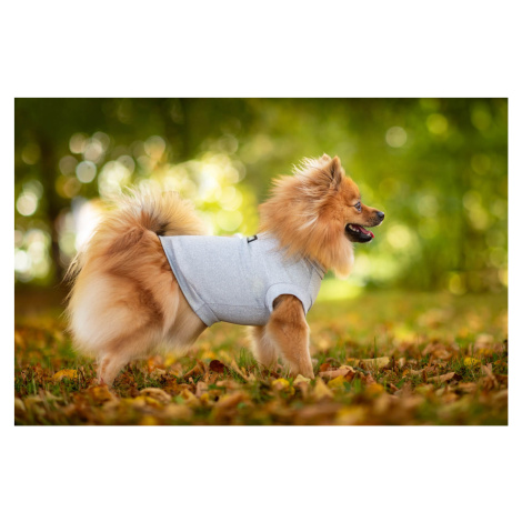 Vsepropejska Enji elastické tričko pro psa Barva: Šedá, Délka zad (cm): 35, Obvod hrudníku: 43 -