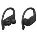 Powerbeats Pro Wireless Earphones - Black