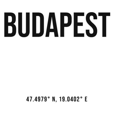 Ilustrace Budapest simple coordinates, Finlay & Noa, 30 × 40 cm