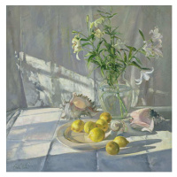 Obrazová reprodukce Reflections and Shadows, Timothy Easton, 40 × 40 cm