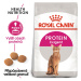 Royal Canin Protein Exigent - granule pro mlsné kočky - 2kg