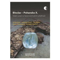 Břeclav - Pohansko X. Sídelní areál na Severovýchodním předhradí