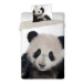 Faro Bavlněné povlečení Wild Panda 160x200 cm