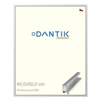 DANTIK rámeček 40 × 50, ALU profil 7269 Stříbrný lesklý plexi čiré