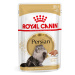 Royal Canin Persian Adult - paštika - 12 x 85 g