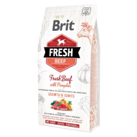 Brit Fresh Dog – Puppy & Junior Large Breed – Beef – Growth & Joints 2,5 kg
