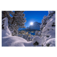 Umělecká fotografie Snowy forest lit by moon in winter, Switzerland, Roberto Moiola / Sysaworld,