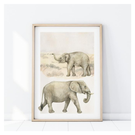 Safari plakát s motivem slonů