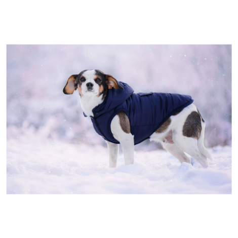 Vsepropejska Fala zimní bunda s kapucí pro psa Barva: Modrá, Délka zad (cm): 32, Obvod hrudníku: