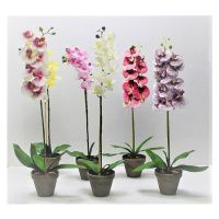 PROHOME - Orchidea umelá 63cm různé druhy