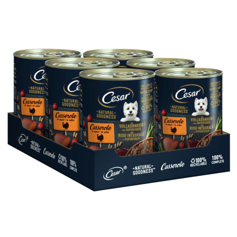 Cesar Natural Goodness - krůtí Superfoods (24 x 400 g)