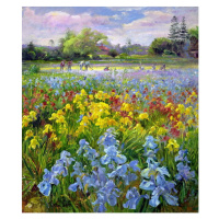 Obrazová reprodukce Hoeing Team and Iris Fields, 1993, Timothy Easton, 34.5 × 40 cm