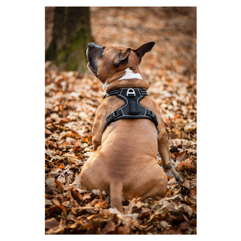 Vsepropejska Porto sportovní postroj pro psa Barva: Černá, Obvod hrudníku: 54 - 64 cm