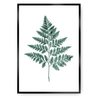 Dekoria Plakát Fern Emerald Green, 30 x 40 cm, Ramka: Czarna