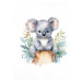 Obrazy na stěnu - Veselá koala Rozměr: 40x50 cm, Rámování: bez rámu a bez vypnutí plátna