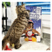 Akinu Adventní kalendář pro kočky 170 g