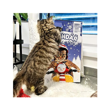 Akinu Adventní kalendář pro kočky 170 g