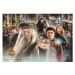 Clementoni - Puzzle 104 Harry Potter