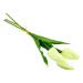 DOMMIO Svazek 3 ks tulipánů, krémové, 50 cm