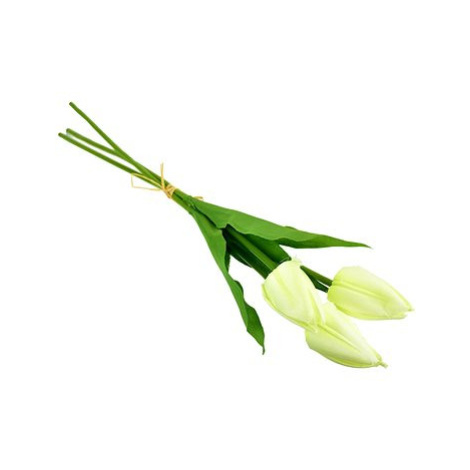 DOMMIO Svazek 3 ks tulipánů, krémové, 50 cm