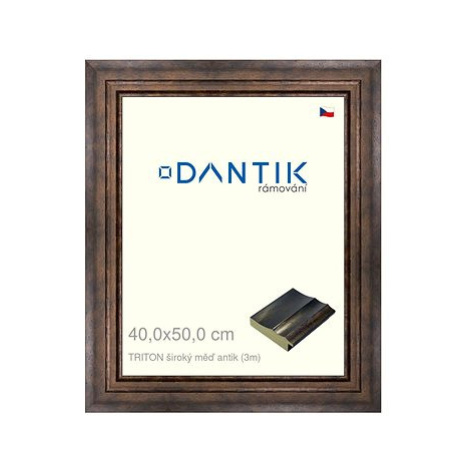 DANTIK rámeček 40 × 50, TRITON široký měď antik plexi čiré