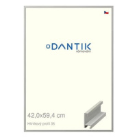 DANTIK rámeček 42 × 59,4, ALU profil 6035 Dýha barevný šedý plexi čiré