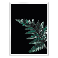 Dekoria Plakát Dark Fern Leaf, 70 x 100 cm, Volba rámku: Bílý