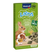 Vitakraft All Rodent  pochoutka Loftys 100g